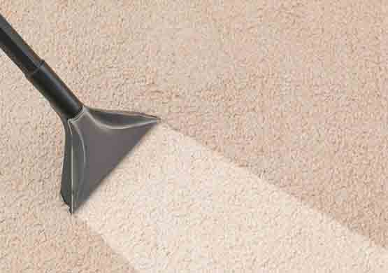 Professional Carpet Cleaning Kallangur